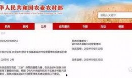 农村国宝爆料新闻最新版,揭秘最新版惊天新闻背后的真相